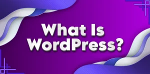 What Is WordPress and Why It Is Popular in South Africa?